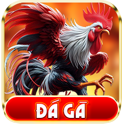 đá gà 3389win
