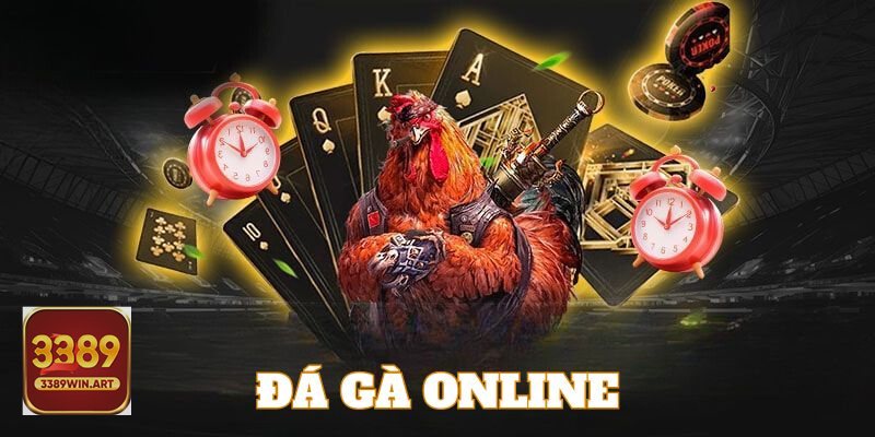 Đá gà cựa dao - Dấu ấn lịch sử – văn hóa khu vực