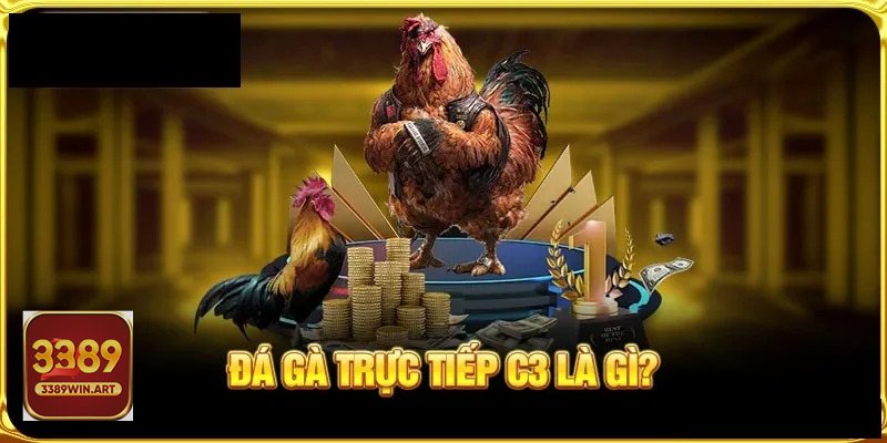 Đá gà campuchia - Cựa sắt – nhịp độ cao, ra đòn gọn